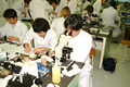 臨床工学科<BR>臨床工学専攻科